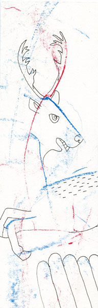 owl